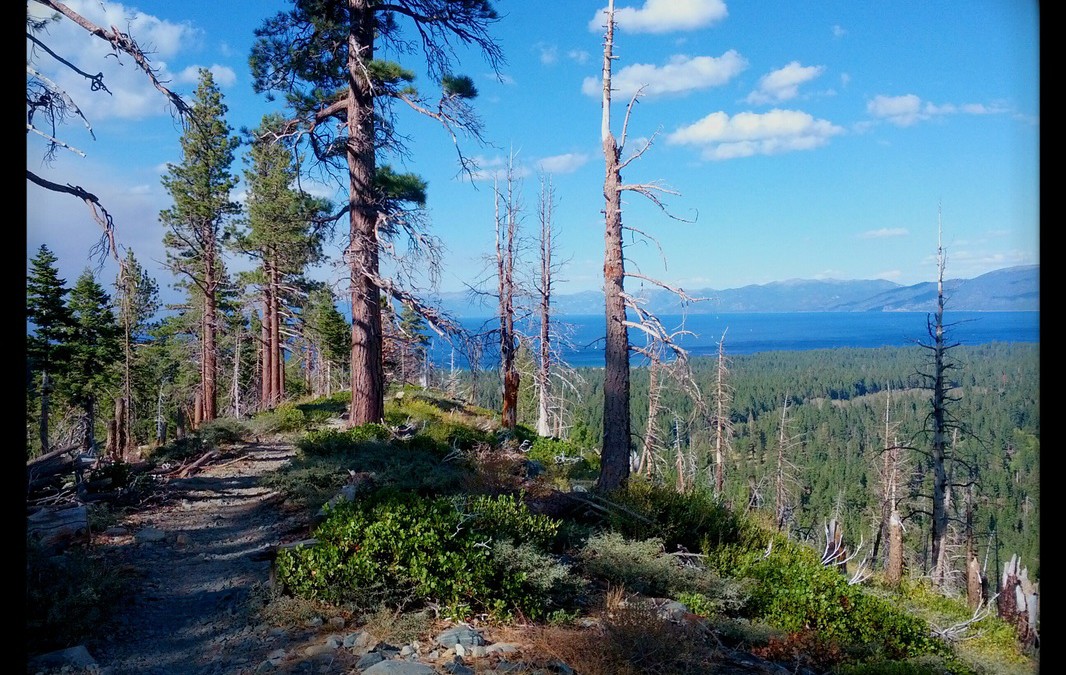 Lake Tahoe Marathon Weekend