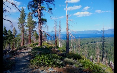 Lake Tahoe Marathon Weekend