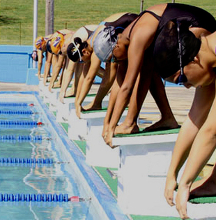 Tales of a Swim Meet Rookie